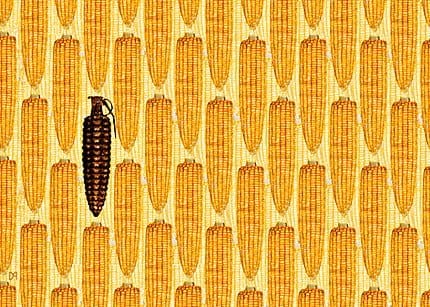 monsanto
