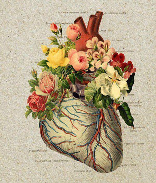 corazon