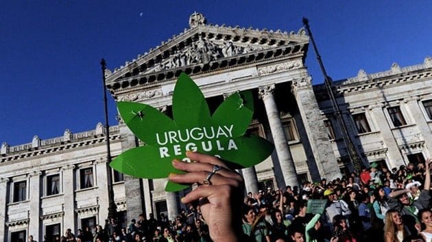 marihuana