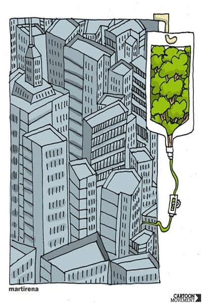 ciudad
