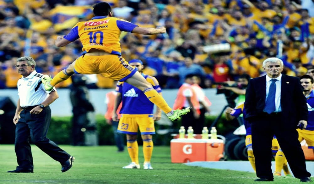 tigres