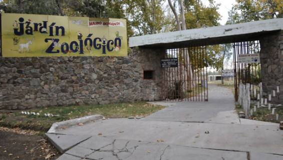 zoo