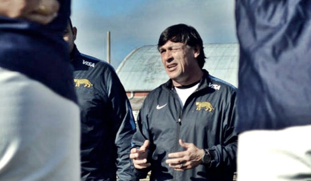 pumas