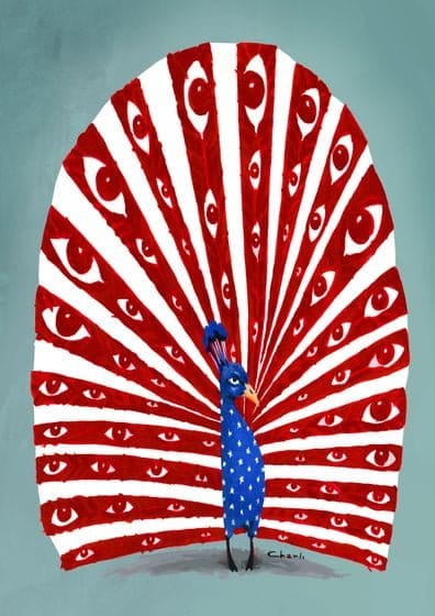 pavo